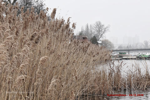 foto nr 28 kaisermühlen am 24.12.2016