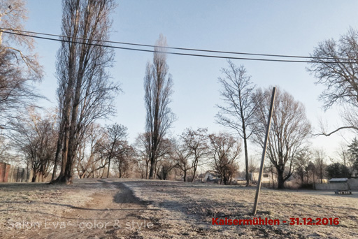 foto nr 40 kaisermühlen am 31.12.2016