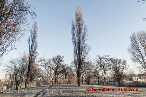 foto nr 41 kaisermühlen am 31.12.2016