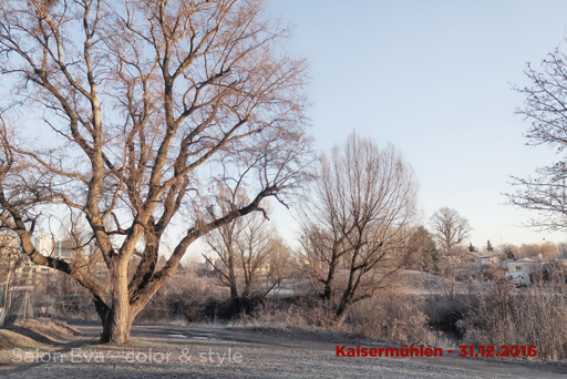 foto nr 47 kaisermühlen am 31.12.2016