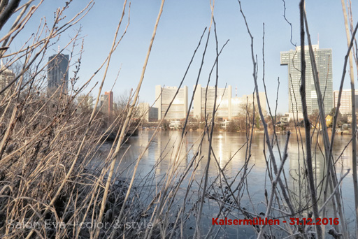 foto nr 49 kaisermühlen am 31.12.2016