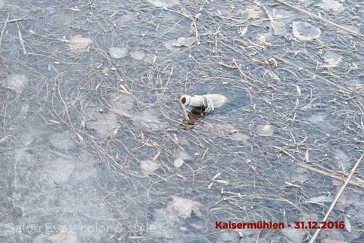foto nr 69 kaisermühlen am 31.12.2016