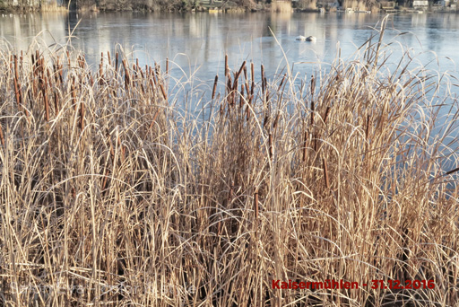 foto nr 74 kaisermühlen am 31.12.2016