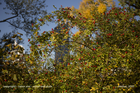 foto kaisermühlen herbst 14.10.2017