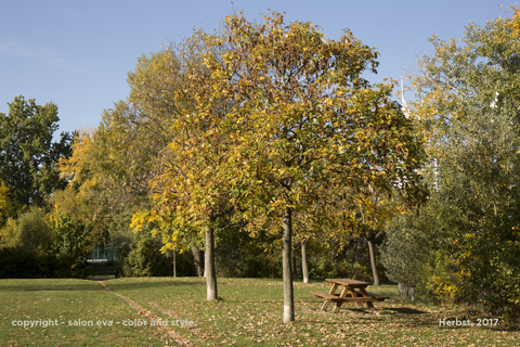 foto kaisermühlen herbst 14.10.2017