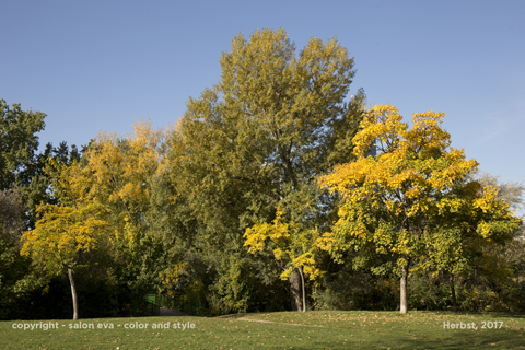 foto kaisermühlen herbst 14.10.2017