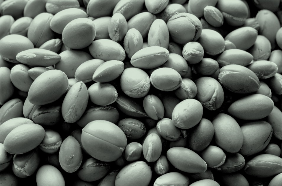 Maria Nila True Soft stones