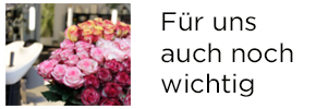 Friseur Wien Wichtiges