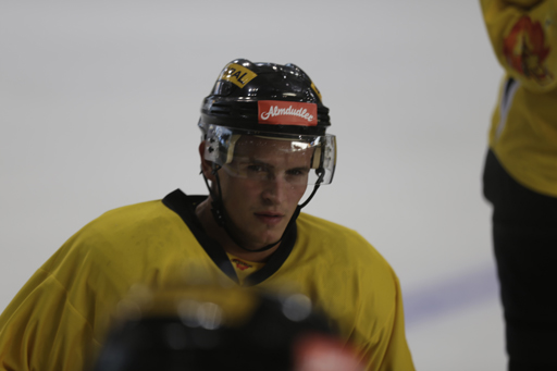 foto vienna capitals 6.8.2018 - erstes eistraining Foto # 38 