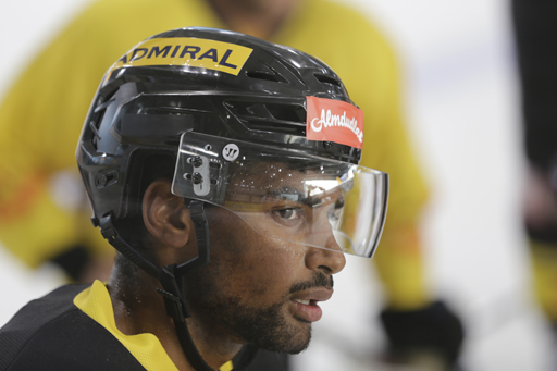 foto vienna capitals 6.8.2018 - erstes eistraining Foto # 39 